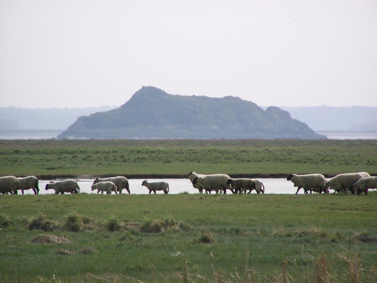 Charmante Maison De Pecheur En Baie Du Mont Saint Michel Genêts Εξωτερικό φωτογραφία