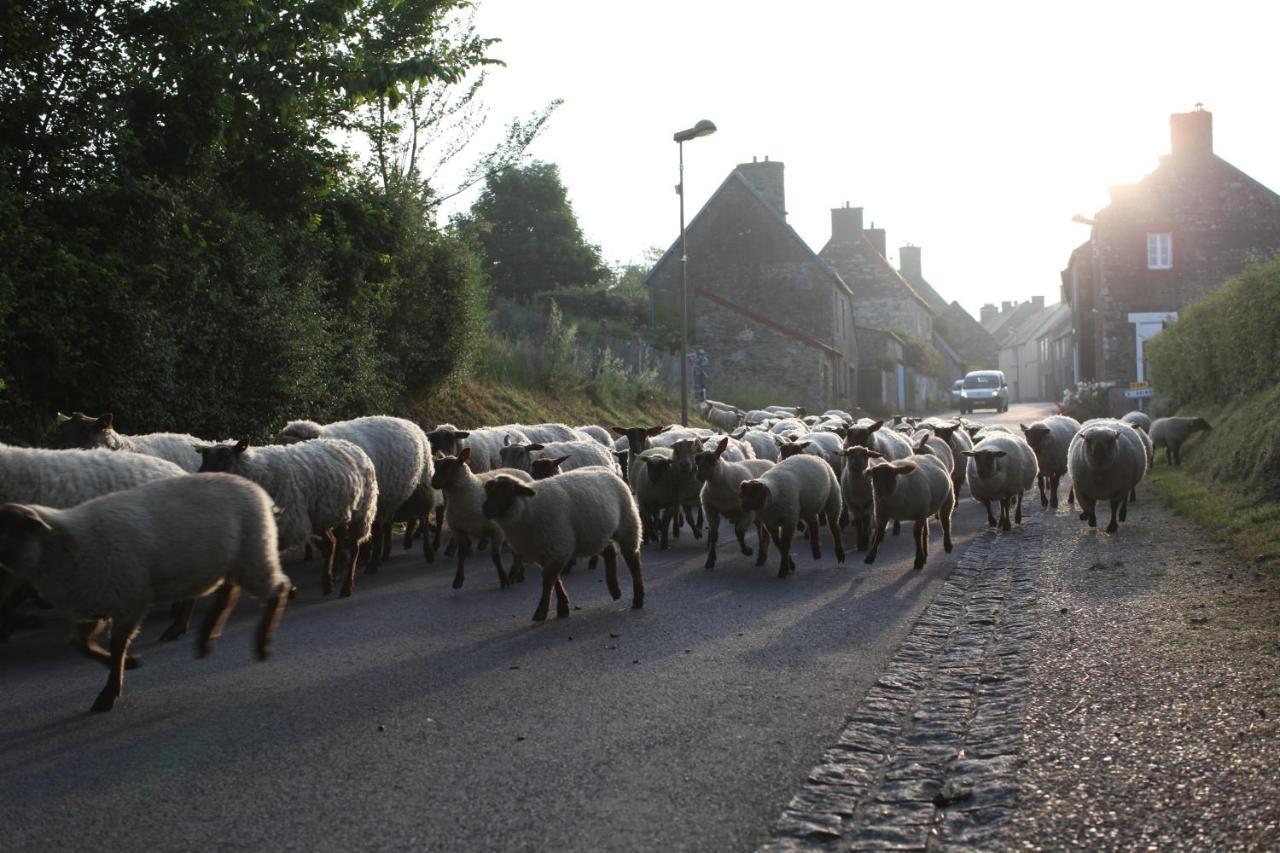 Charmante Maison De Pecheur En Baie Du Mont Saint Michel Genêts Εξωτερικό φωτογραφία